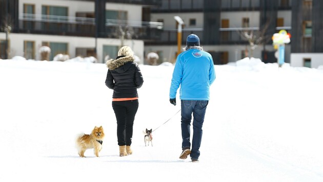 Winterspaziergang mitten im März in Werfenweng. (Bild: Gerhard Schiel)