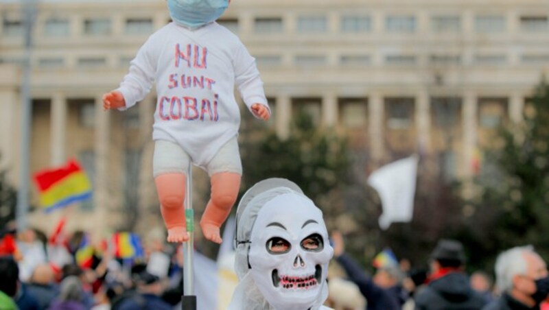 Dieser Demonstrant in Bukarest möchte „keine Laborratte“ sein. (Bild: AP)