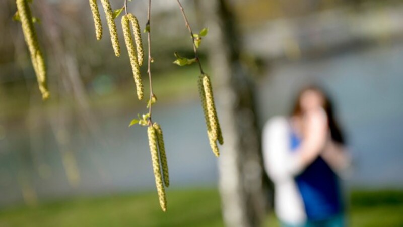 (Bild: APA/ROLAND SCHLAGER)