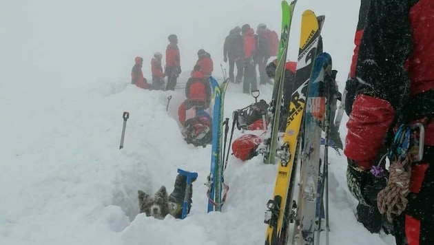 Ein Großaufgebot der Rettungskräfte rückte auf den Ötscher aus. (Bild: Bergrettung NÖ-Wien)