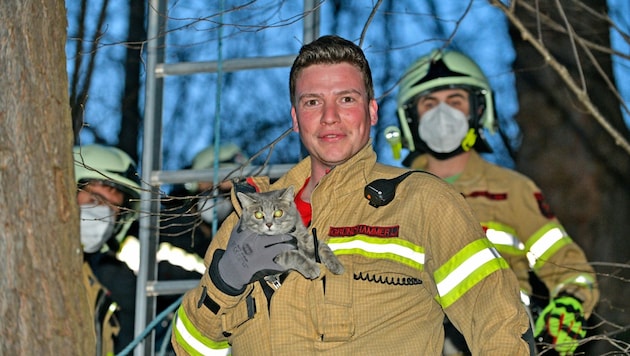 Ein stolzer Feuerwehrmann mit Katze „Finya“. (Bild: zoom.tirol)