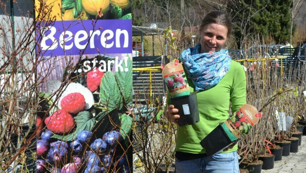 Signe Teuffenbach-Fischer gibt Tipps rund um das Thema Beeren (Bild: Katrin Fister)