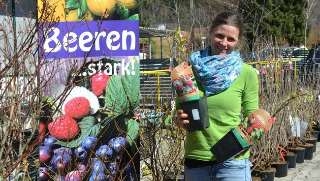 Signe Teuffenbach-Fischer gibt Tipps rund um das Thema Beeren (Bild: Katrin Fister)