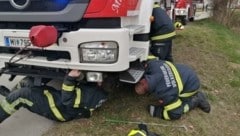 Viel „Verhandlungs- geschick“ war nötig, um das Tier aus dem Motorraum zu locken. (Bild: FF Wolkersdorf)