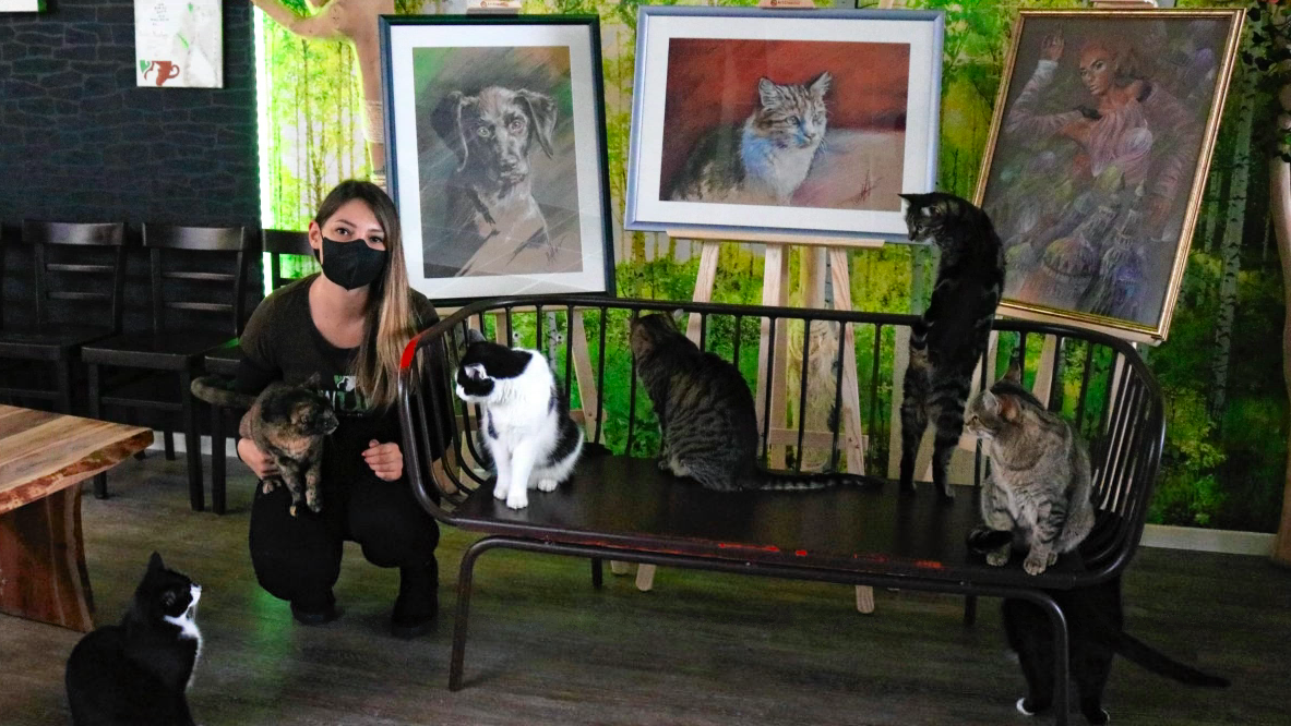 Verena Kulterer und ihre Katzen vor den Bildern im Lokal. (Bild: Claudia Fischer)