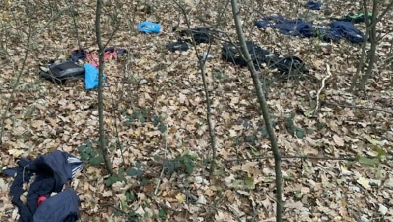 Spuren illegaler Grenzübertritte im Wald bei Lutzmannsburg (Bild: Schulter Christian)