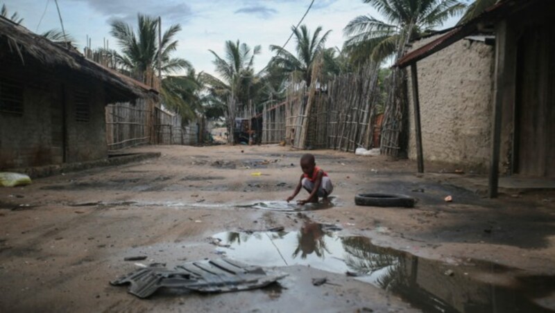 (Bild: APA/AFP/Alfredo Zuniga)