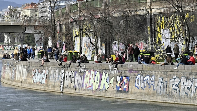 Die Polizei konnte im Bereich des Donaukanals mehrere Dealer festnehmen. (Bild: APA/Hans Punz)