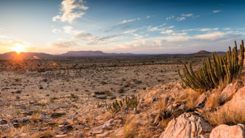 Die Kalahari-Region in Südafrika (Bild: ©Dewald - stock.adobe.com)