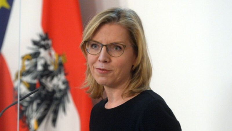 Verkehrsministerin Leonore Gewessler (Bild: APA/Herbert Pfarrhofer)