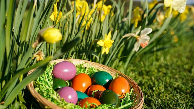 Je farbenfroher und bunter die Eier sind, desto mehr freut das Osternest die Kinder (Bild: Pressefoto Scharinger © Scharinger)