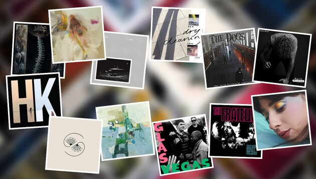 (Bild: Slow Start, Drabant Music, 4AD, Sub Pop, PIAS, Sony, Go Wow, Canstellation, ANTI, 20 Buck Spin, Husky Pants, Erased Tapes)