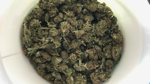 Der Dealer hatte Cannabis gebunkert (Bild: Polizei OÖ)