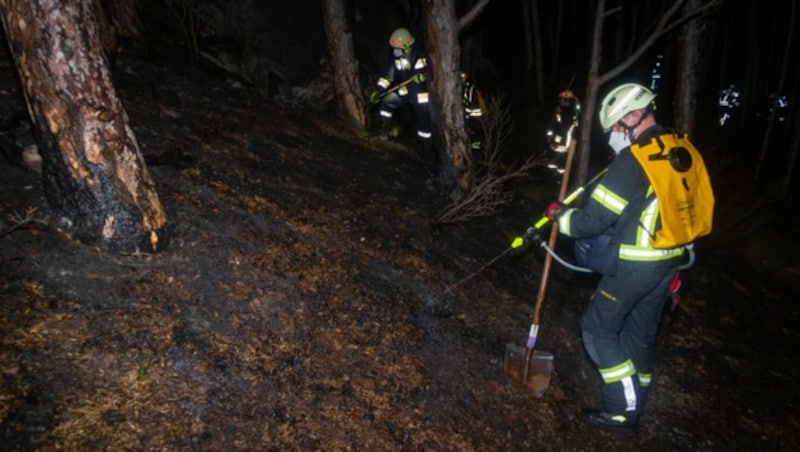 (Bild: APA/BFKDO Mödling/Mathias Seyfert)