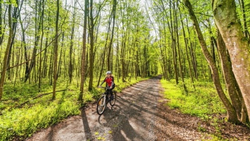 Sechs Strecken (von 15 bis 80 Kilometer) stehen zur Auswahl. (Bild: TV Bad Radkersburg)