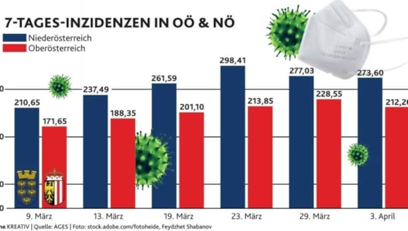 (Bild: Honorar)