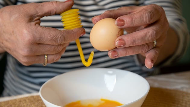 Ostereier bedürfen besonderer Vorsicht, die Salzburger Altenpflegerin hat das nötige Fingerspitzengefühl. In ihrer Wohnung haben sich gut 400 Stück angesammelt. (Bild: Berger Susi)