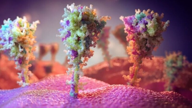 Künstlerische Illustration: Die durch die Impfung ausgelösten stacheligen Proteine, gegen die der Körper eine Immunantwort bildet. (Bild: University of Southampton)