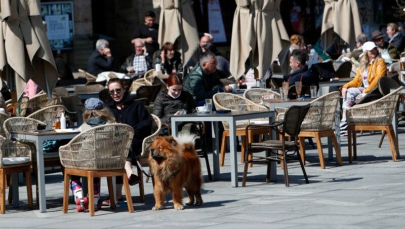 Viele Cafés dürfen im Impfmusterland Serbien wieder offen haben - obwohl auch dort die Zahlen wieder steigen und die Impfbereitschaft mit einer neuen Kampagne angeschubst werden muss. (Bild: AP)