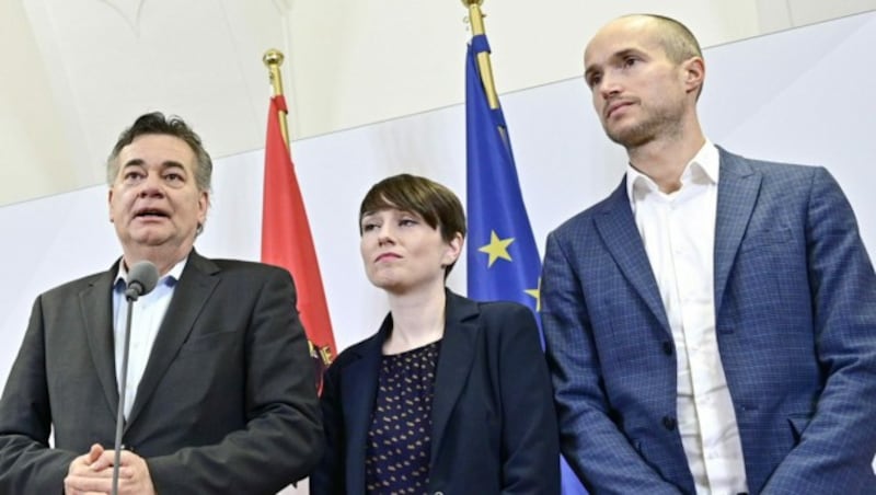 Werner Kogler, Sigrid Maurer und Josef Meichenitsch (Bild: APA/Hans Punz)