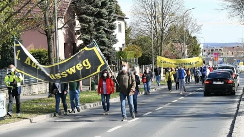 Demonstranten in Eisenstadt (Bild: Kronen Zeitung)
