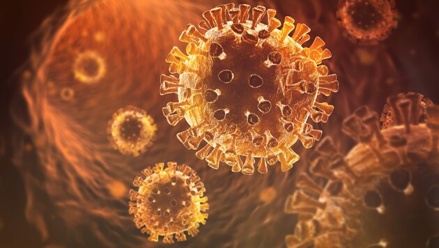In den vergangenen 24 Stunden gibt es 50 Neuinfektionen mit dem SARS-Virus (Bild: alphaspirit/stock.adobe.com)