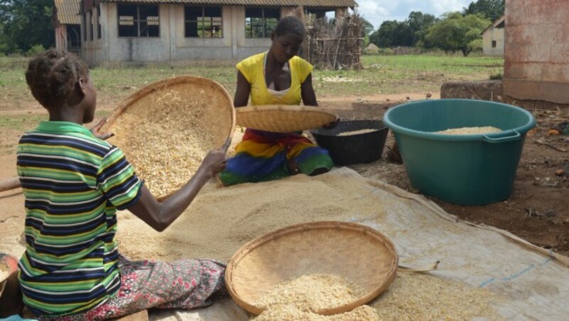 Frauen in der Provinz Sofala in Mosambik trennen die Spreu vom Getreide. 215 arbeiteten offiziellen Angaben zufolge 90 Prozent der Frauen in Mosambik in der Landwirtschaft. (Bild: APA/ADA/GUTENBRUNNER)