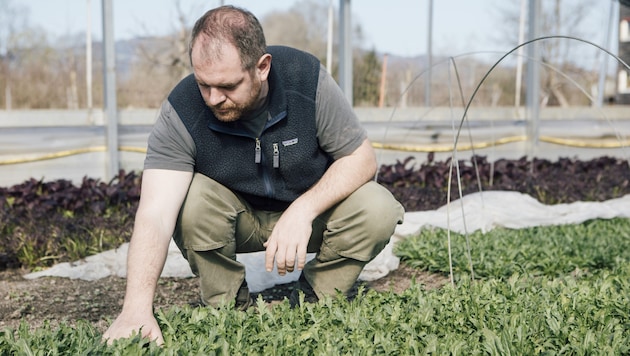 Organic farmers are once again looking to the future with more optimism. (Bild: mathis.studio)