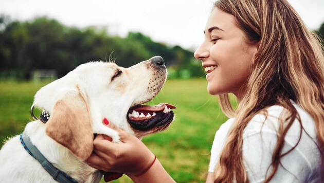 Wie Haushund, Löwe oder Alligator ihre Artgenossen wahrnehmen, bleibt uns völlig verschlossen. (Bild: ©standret - stock.adobe.com)