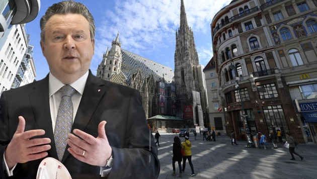 Der Wiener Bürgermeister Michael Ludwig (SPÖ) macht Öffnungsschritte von den Spitälern abhängig und möchte „nicht alles gleichzeitig“ öffnen. (Bild: APA/Fohringer, APA/Neubauer, Krone KREATIV)