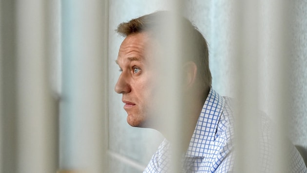 Hinter Gittern: Der russische Oppositionelle Alexej Nawalny bei einer Gerichtsanhörung in Moskau im Jahr 2019 (Bild: APA/AFP/Vasily MAXIMOV)