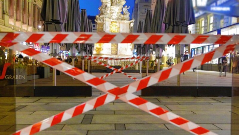 Der 20-tägige österreichweite Lockdown traf den Arbeitsmarkt weniger stark als befürchtet. (Bild: Leopold Nekula/VIENNAREPORT)