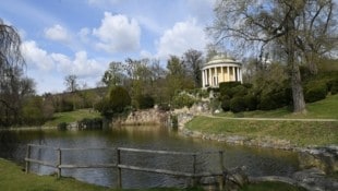 Auch der Eisenstädter Schlosspark hat unter den klimatischen Veränderungen zu leiden. Mit einem neuen Projekt will man diesem Problem begegnen. (Bild: P. Huber)