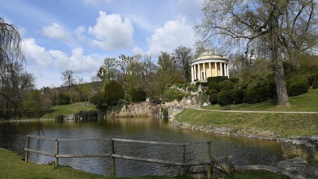 Eisenstadt Castle Park is also suffering from climate change. A new project aims to tackle this problem. (Bild: P. Huber)