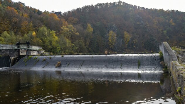 Barrieren versperren heimischen Flüssen und Bächen den Weg. (Symbolbild) (Bild: WWF/Egger)