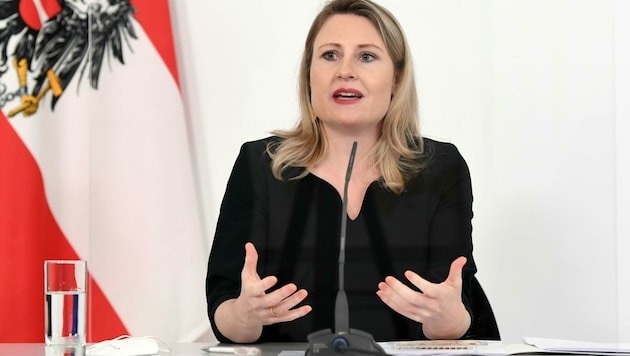 Familienministerin Susanne Raab (ÖVP) stellte am Mittwoch den sechsten österreichischen Familienbericht vor. (Bild: APA/HELMUT FOHRINGER)
