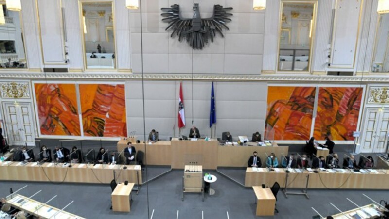 Kickls Auftritt bei einer Corona-Demo sorgte für eine Debatte im Nationalrat. (Bild: APA/Roland Schlager)