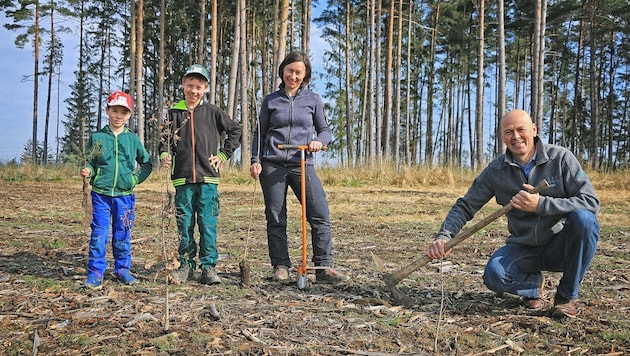 In der Waldviertler Gemeinde Raabs wird nachbarschaftlich zusammengeholfen. Dort wurden bereits über 50.000 Bäume gesetzt – Fischer (rechts) mit der fleißigen Familie Hauer. (Bild: Stefan Schneider/beeindrucken.at)