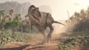 Als noch Dinos wie Tyrannosaurus rex und Triceratops lebten, flogen bereits die Vorfahren der heutigen Vögel durch die Luft. (Bild: stock.adobe.com)