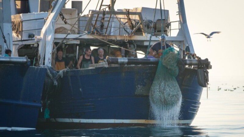 Fischerboote mit Schleppnetz (Bild: Dolphin Biology and Conservation/Silvia Bonizzoni)