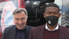 Willi Ruttensteiner (li.), David Alaba (Bild: APA/AFP/Christof STACHE, krone.tv, Krone KREATIV)