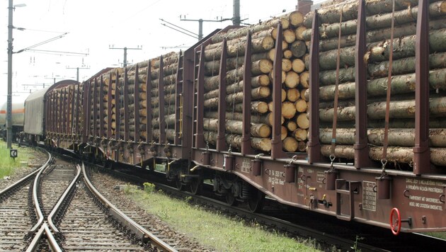 Seit Jahren gingen die Holztransporte auf der Franz-Josefs-Bahn kontinuierlich zurück, Kapazitäten könnte man kurzfristig erhöhen. (Symbolbild) (Bild: ANDI SCHIEL)