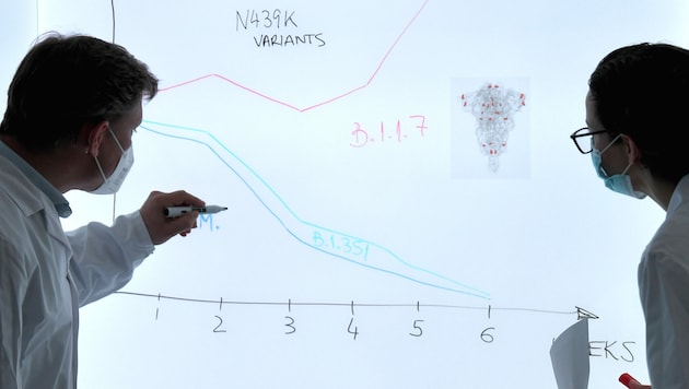 Die BA.2.75- und BQ.1.1.-Subtypen sind in Niederösterreich auf dem Vormarsch. (Bild: APA/Roland Schlager)