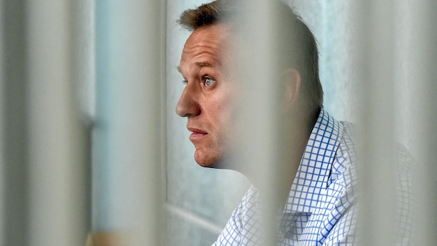 Nawalny bei einer Gerichtsanhörung 2019 (Bild: APA/AFP/Vasily Maximov)