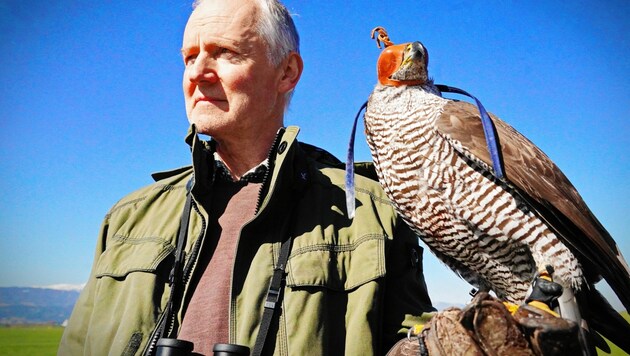 Wenn er mit Habicht Puppi auftaucht, sind Elstern und Störche dahin: Franz Forcher. (Bild: Sepp Pail)