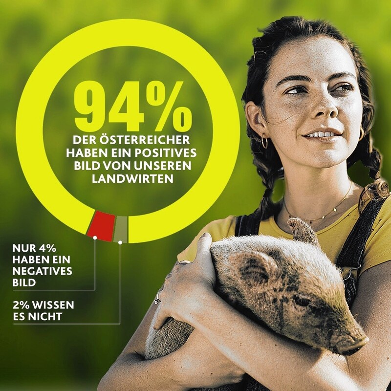 (Bild: Krone Kreativ. Quelle: Land schafft Leben 2020, Foto: stock.adobe)