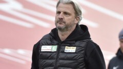 Markus Schopp soll auf die Insel wechseln (Bild: APA/HANS PUNZ)