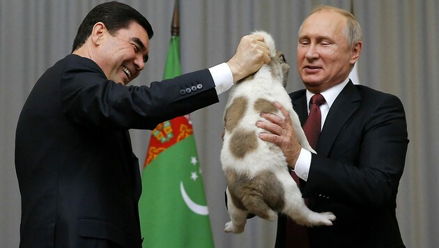 Archivaufnahme aus dem Jahr 2017: Russlands Präsident Wladimir Putin bekommt von seinem turkmenischen Amtskollegen einen Alabai als Gastgeschenk überreicht. (Bild: APA/AFP/POOL/MAXIM SHEMETOV)