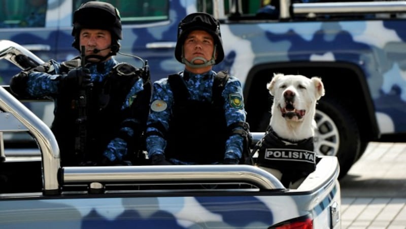 Dieser Alabai im Dienste der Polizei durfte an einer Militärparade im Jahr 2019 teilnehmen. (Bild: APA/AFP/Igor SASIN)