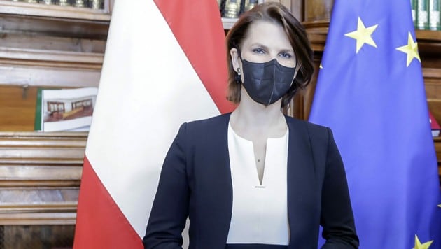 Europaministerin Karoline Edtstadler (ÖVP) wirbt in Europa für den Grünen Pass. (Bild: APA/BUNDESKANZLERAMT/HANS HOFER)